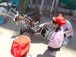 DSCN0045.jpg