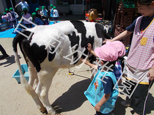 DSCN0070.jpg